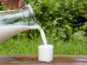 Козье молоко – профилактика заболеваний