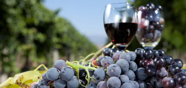 Как исправить кислое домашнее вино: действенные приемы