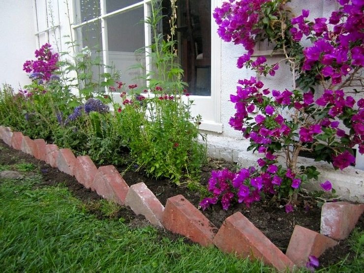 Оформление цветников вдоль живых изгородей, стен и заборов
