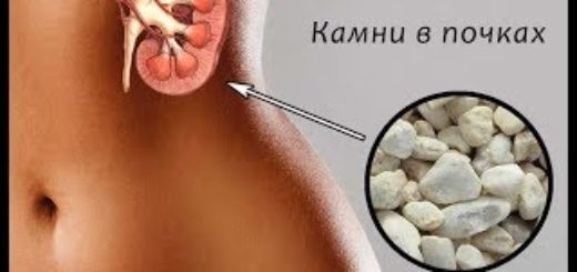 Вылечить почки в домашних условиях 665