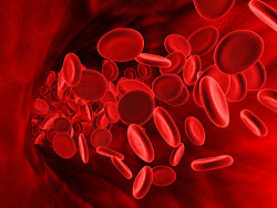 Диета по 1 группе крови - положительная и отрицательная