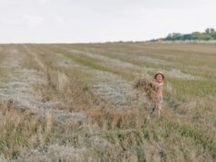 Спокойный полет и мягкая посадка