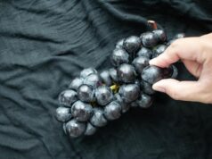 К чему снятся грозди винограда