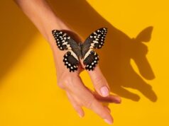 Промокоды на Standoff 2: Бабочка