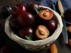 Приснились спелые сливы на дереве