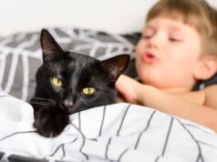 К чему снятся глисты у котенка