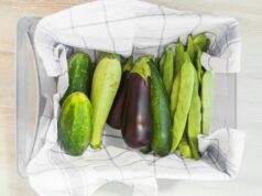 Быстрое маринование огурцов в пакете