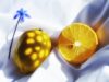 Толкование сна: желтые лимоны