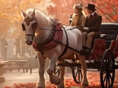 Колесница любви: символ отношений