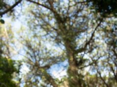 Ободряющие фразы для хорошего настроения