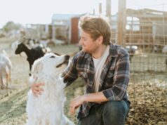 К чему снится покупка коровы