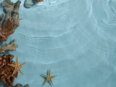 Прозрачное море во сне